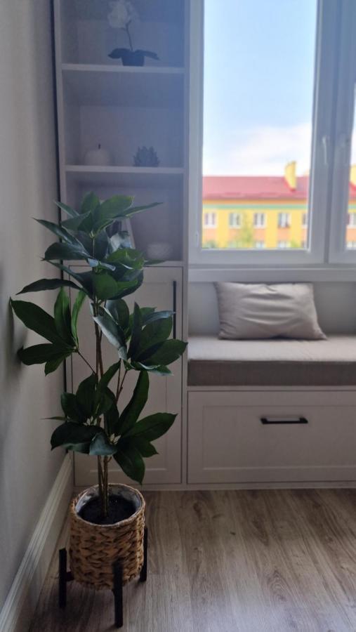 Alfama Garden Apartment Grudziądz Exterior foto