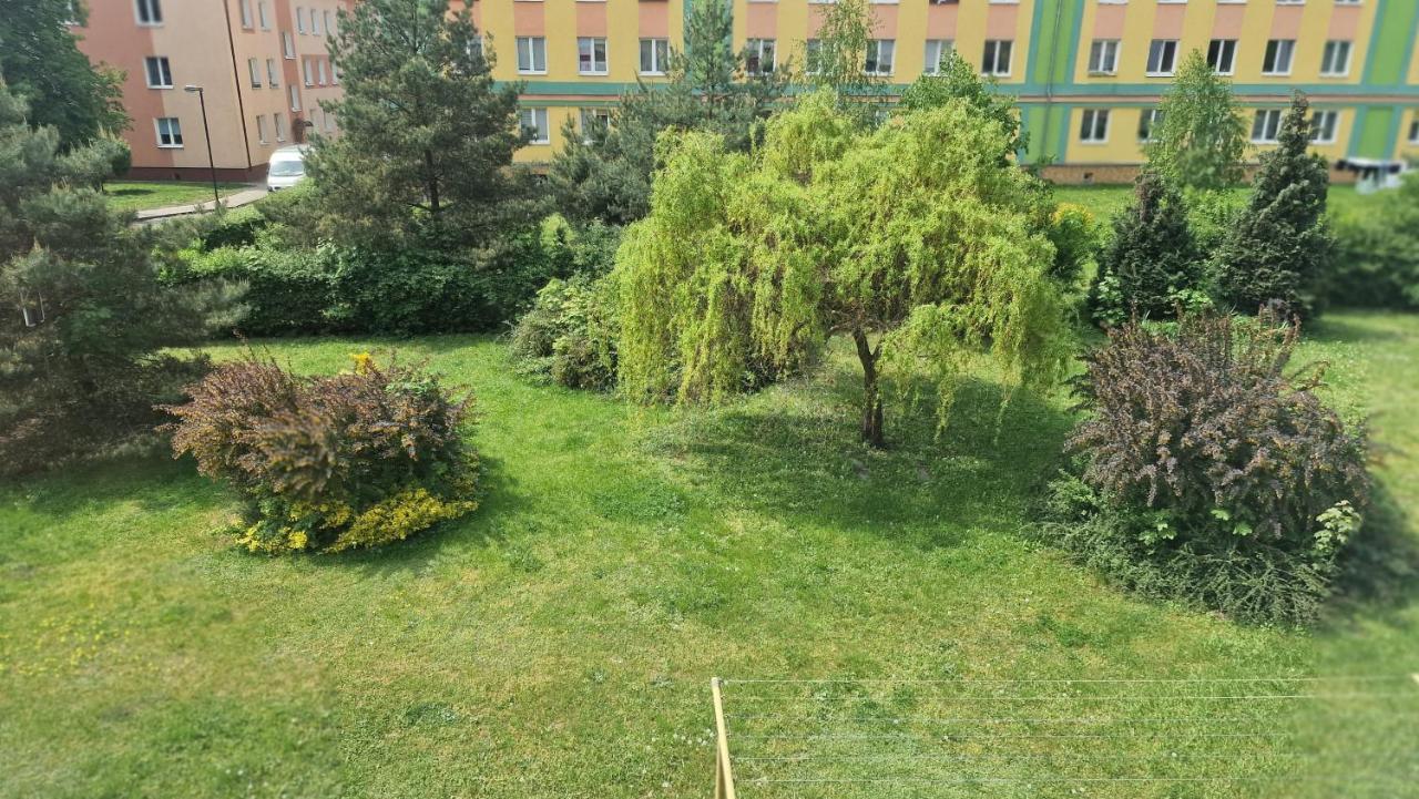 Alfama Garden Apartment Grudziądz Exterior foto